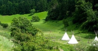  The park 